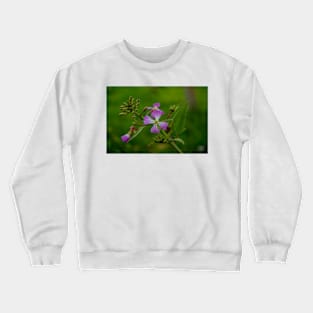 3282016 lavender Crewneck Sweatshirt